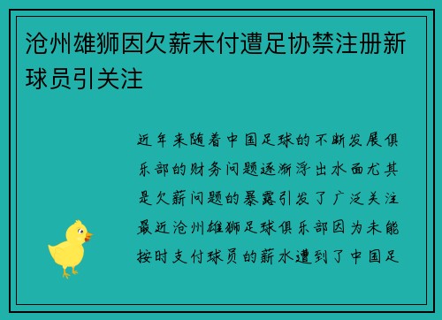 沧州雄狮因欠薪未付遭足协禁注册新球员引关注